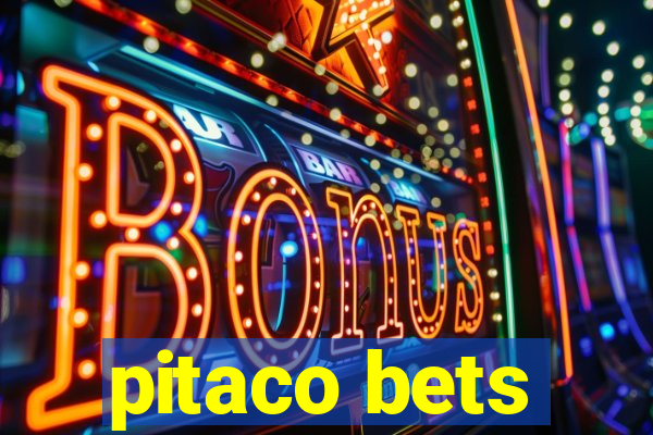 pitaco bets